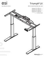 Fellowes esi Triumph LX Assembly Instructions Manual preview