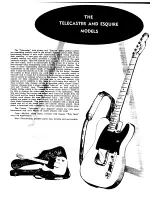 Preview for 9 page of Fender Stratocaster Catalogue