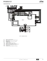 Preview for 51 page of Ferroli PEGASUS D Instructions For Use, Installation And Maintenance