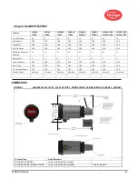 Preview for 6 page of Fireye InSight 4 Series Manual