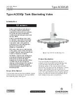 Preview for 1 page of Fisher EMERSON ACE95JR Instruction Manual