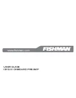 Fishman Isys III User Manual preview