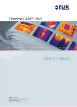 FLIR ThermaCAM P65 User Manual preview