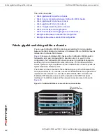 Preview for 48 page of Fortinet FortiSwitch-5003 Fabric And Base Backplane Communications Manual