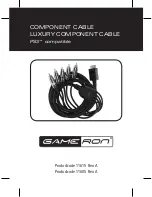 GAMERON COMPONENT CABLE LUXURY COMPONENT CABLE FOR... Manual preview