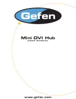 Gefen MINIDVI-142 User Manual preview