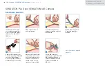 Preview for 8 page of GETINGE GROUP Maquet CARDIOSAVE IABP Quick Reference Manual