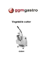 GGMgastro GSH Manual preview