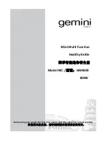 GILMAN Gemini GMK600 Manual preview