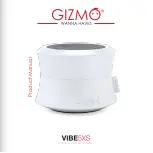 Gizmo Vibe 5XS Product Manual preview