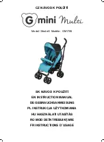 Gmini Multi GM1706 Instruction Manual preview