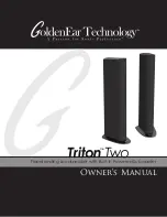 GoldenEar Technology Triton two Owner'S Manual preview