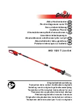 Grizzly Tools AKS 1820 T Lion-Set Instructions For Use Manual preview