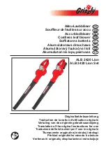 Grizzly Tools ALB 2420 Lion Translation Of The Original Instructions For Use preview