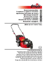 Preview for 1 page of Grizzly Tools BRM 42-141 T-OHV Trike Translation Of The Original Instructions For Use