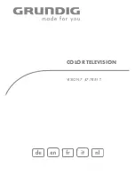 Preview for 1 page of Grundig VISION 7 47-7851 T User Manual