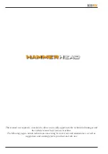 Preview for 2 page of Hammerhead 900SX Use & Maintenance Manual