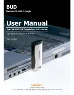 Hassnet BUD User Manual preview