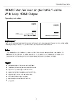 Preview for 2 page of HDMI SE-EX21C Operating Instructions Manual