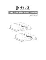 Preview for 1 page of HELGI HI0683-RX User Manual