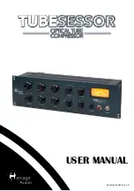 Preview for 1 page of Heritage Audio TUBESESSOR User Manual