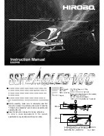 Hirobo SST-EAGLE3-WC Instruction Manual preview