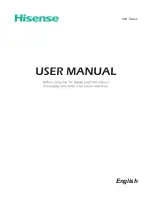 Hisense H3C Series User Manual preview