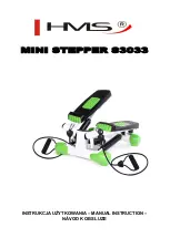 HMS Mini Stepper S3033 Manual Instruction preview