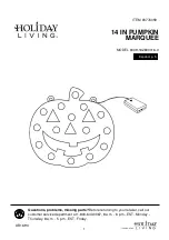 Preview for 1 page of Holiday Living 009-162800016-0 Instructions Manual