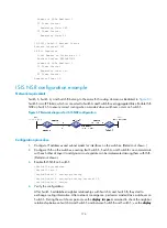 Preview for 187 page of HP MSR2000 Series Configuration Manual