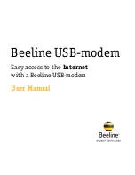 Huawei Beeline E1550 User Manual preview