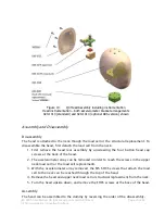 Preview for 23 page of Humanetics Q3 User Manual