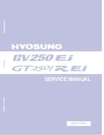 Preview for 1 page of HYOSUNG GT250 EI Service Manual