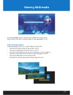 Preview for 17 page of I-On Technology Vortex D User Manual