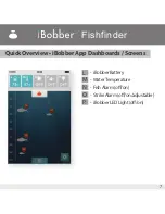 Preview for 8 page of iBobber CGG-MY-IBOBBER Product Information Manual