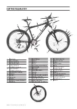 Preview for 38 page of IDEAL Bikes RACE PRO 29 Owner'S Manual