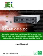 IEI Technology GRAND-C610-20C User Manual preview