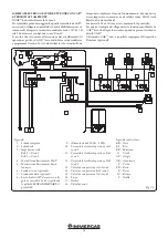 Preview for 29 page of Immergas 3.015350 User Manual