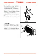 Preview for 19 page of Immergas NIKE Mini 24 Export Manual