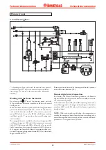 Preview for 26 page of Immergas NIKE Mini 24 Export Manual