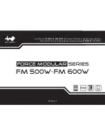 In Win FM 500W User Manual preview