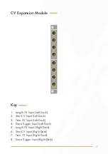 Preview for 6 page of Instruo Dual Looper User Manual