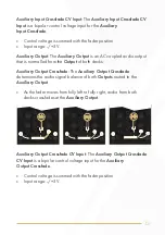 Preview for 13 page of Instruo Dual Looper User Manual