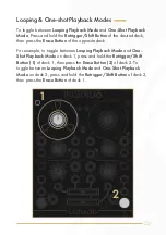 Preview for 23 page of Instruo Dual Looper User Manual