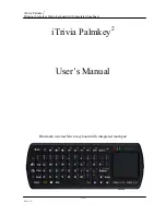 iTrivia Palmkey2 User Manual preview