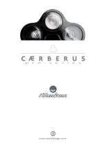 iWaveOcean Caerberus Manual preview