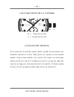 Preview for 48 page of iwc Portuguese chronograph Operating Instructions Manual