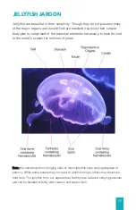 Preview for 25 page of Jellyfish Art Jelly Cylinder Nano Manual To Success