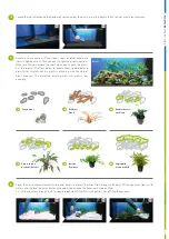 Preview for 2 page of JUWEL Aquarium Primo 110 Easy Installation Manual