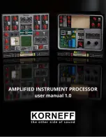 Preview for 1 page of KORNEFF Amplified Instrument Processor User Manual